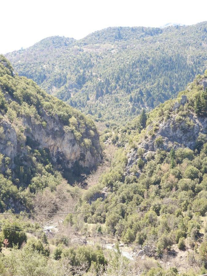 Hotel Agropoli Nimfasía Zewnętrze zdjęcie