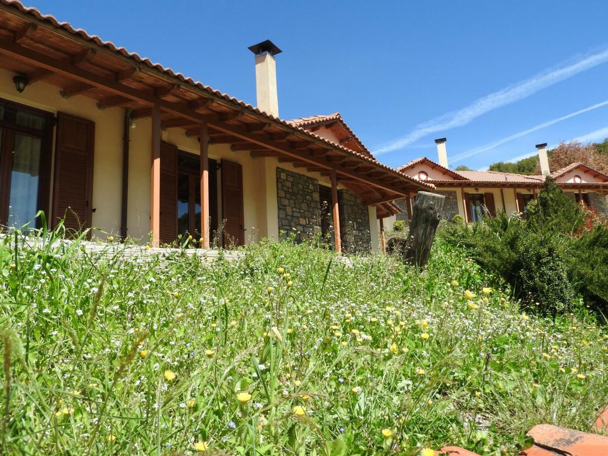 Hotel Agropoli Nimfasía Zewnętrze zdjęcie