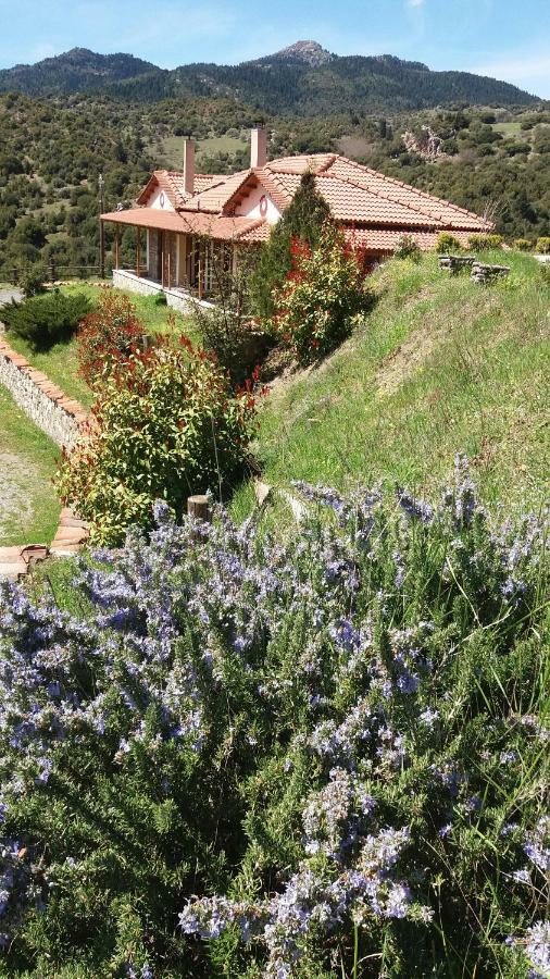 Hotel Agropoli Nimfasía Zewnętrze zdjęcie